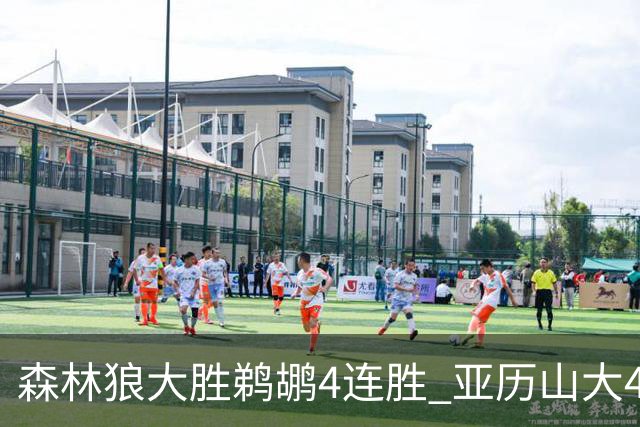 森林狼大胜鹈鹕4连胜 亚历山大43分雷霆克骑士